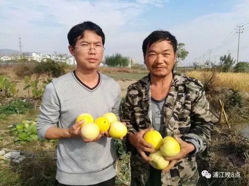 吃瓜群众小品,揭秘娱乐圈幕后风云