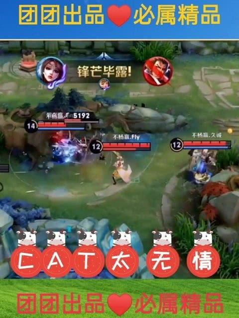 cat吃瓜求婚,猫主子“吃瓜”求婚，萌化万千网友心